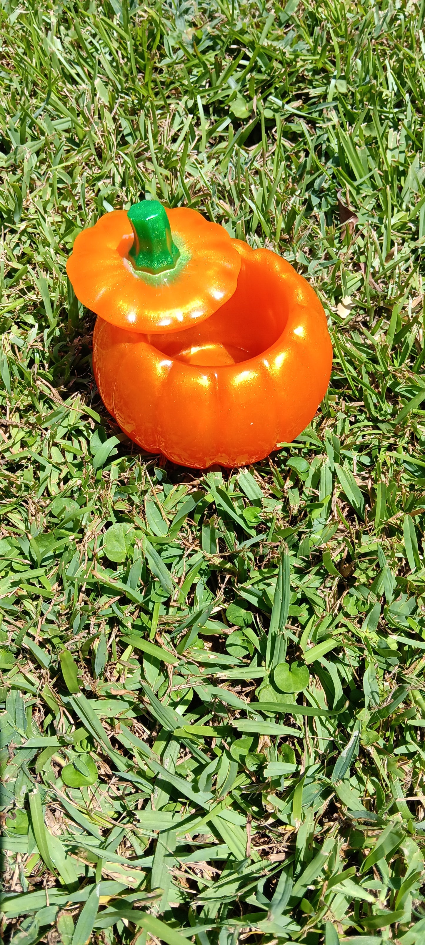 Pumpkin dish