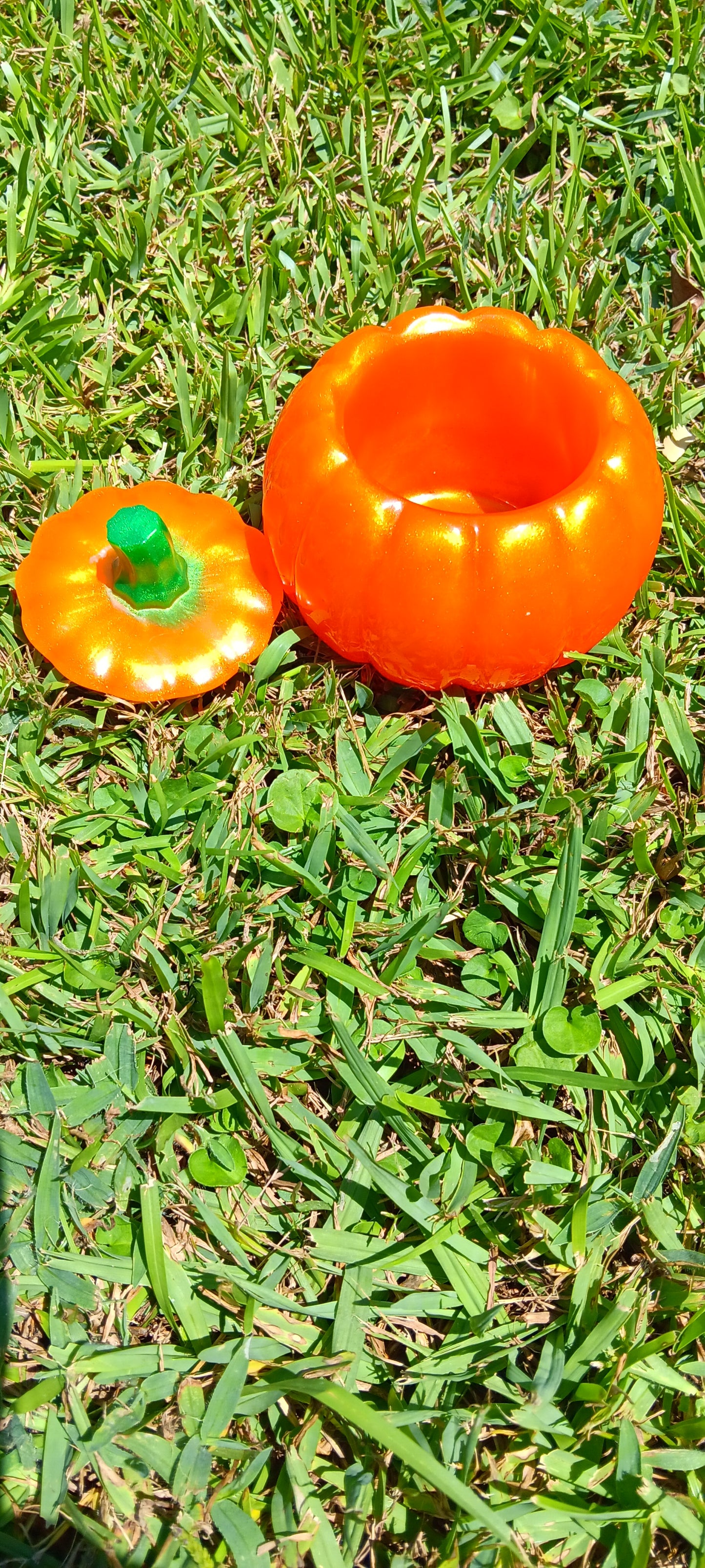 Pumpkin dish