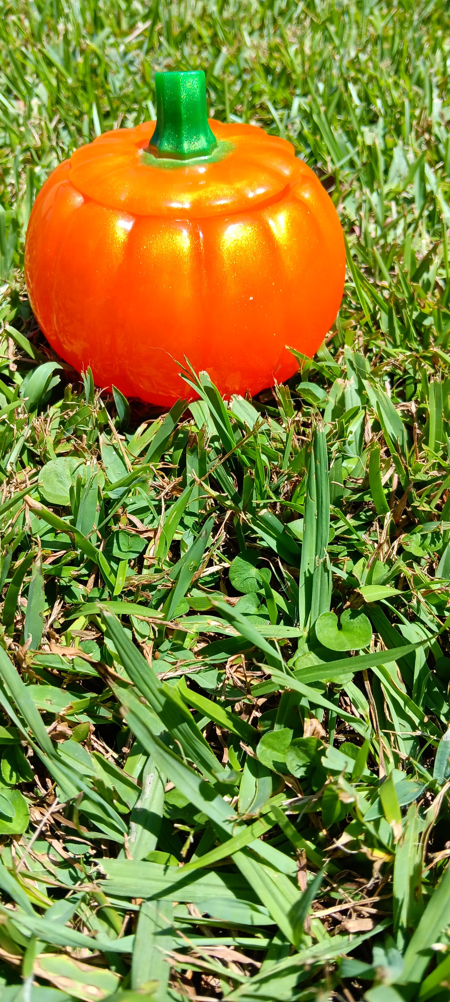 Pumpkin dish